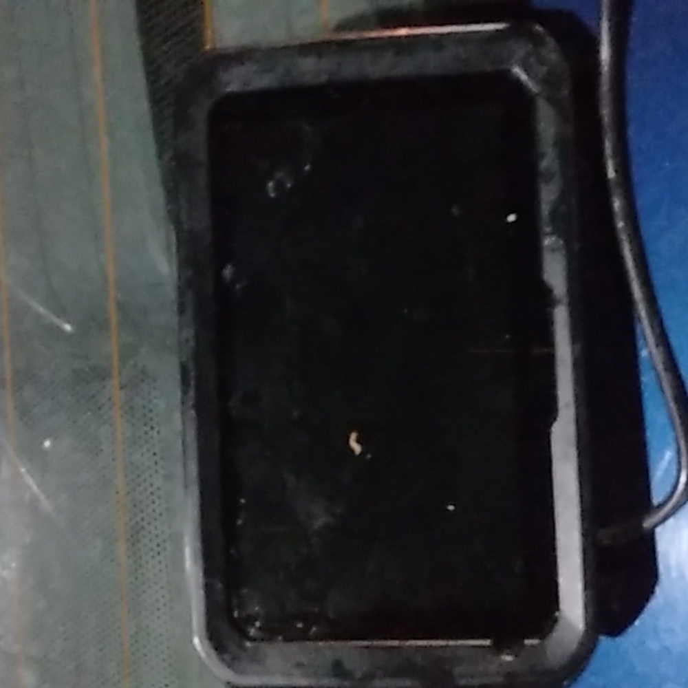 Garmin GPS
